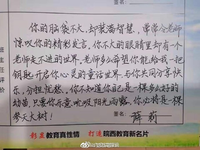 优秀小学生成绩报告单老师评语,优秀成绩报告单教师评语