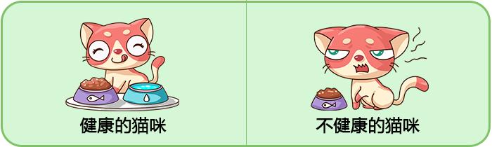 你的猫咪幸福吗,你的猫咪是怎样的