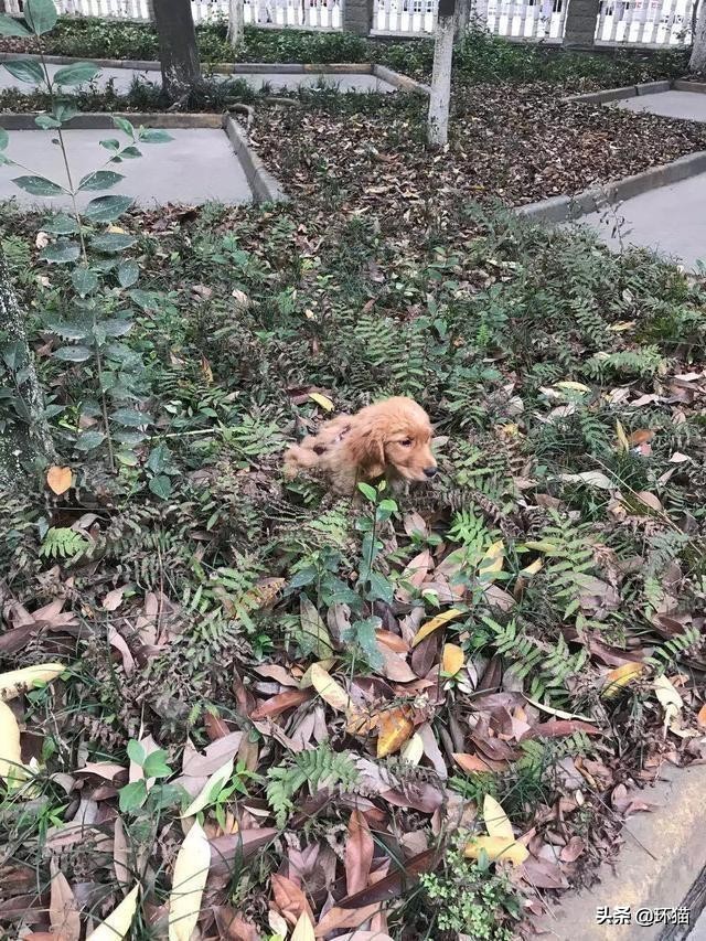 气到发抖对身体有哪些影响,气抖冷梗出处