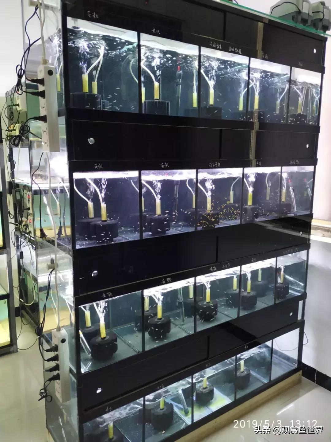 梦想的三湖世界持续建设中……方位:中国天津