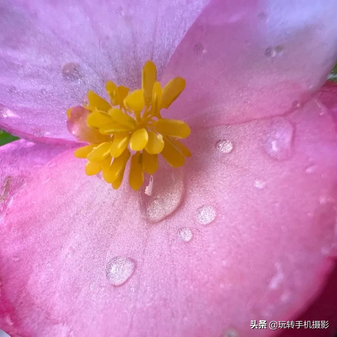 iphone13拍照技巧有哪些,全网最全iphone13系列拍照指南