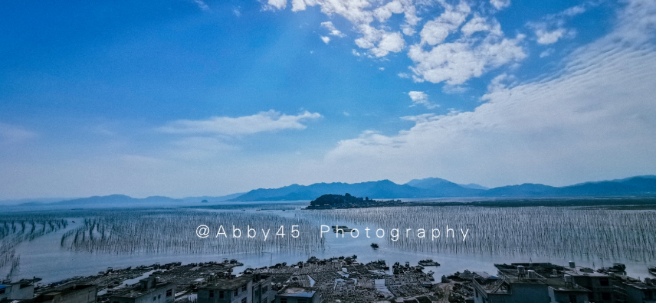 如果只有一天去浙江哪里玩,如果只有一天时间去哪玩