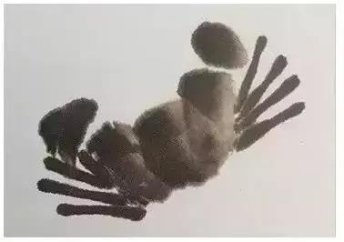 一学就会画教你一步一步画螃蟹,画螃蟹的步骤和方法