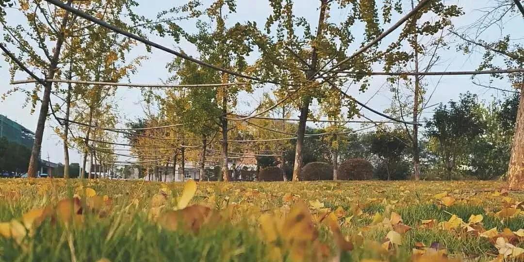 湖南师大社会工作考研,广师大毕业有前途吗