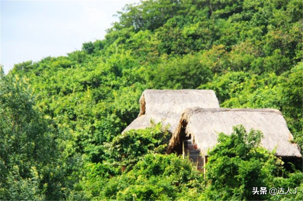 小天越南直播,小天独家视频全集