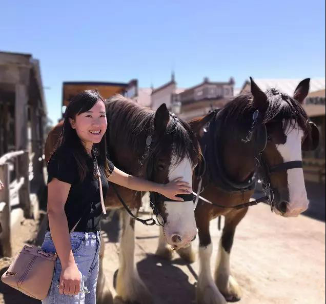 澳大利亚一年游学攻略,第一次出国去澳洲游学