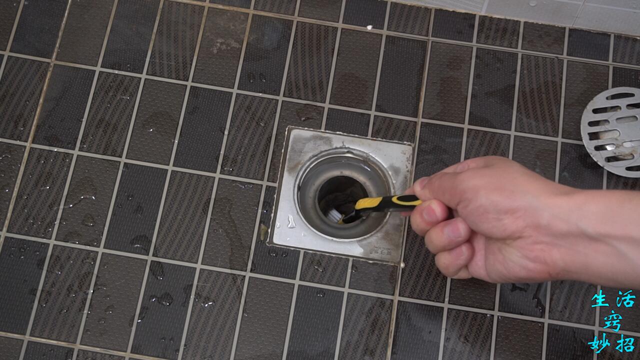 天气一热厕所出现的小飞虫是什么,卫生间小飞虫找不到原因