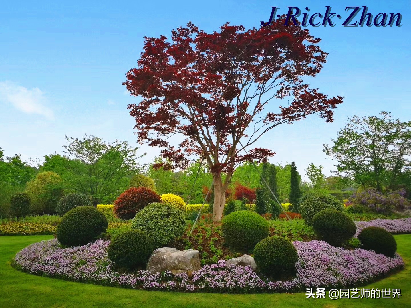 城市蔬菜园景观设计,蔬菜花园造型