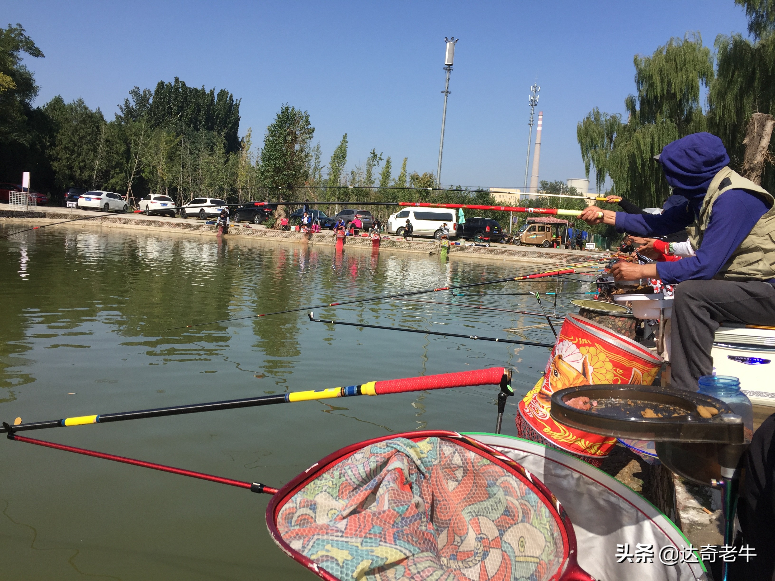 养殖颗粒钓鱼,养殖鱼用什么颗粒钓