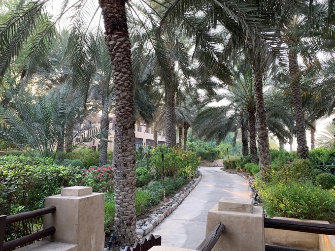 到阿联酋旅行自由行行程,中国到迪拜和埃及旅游攻略路线