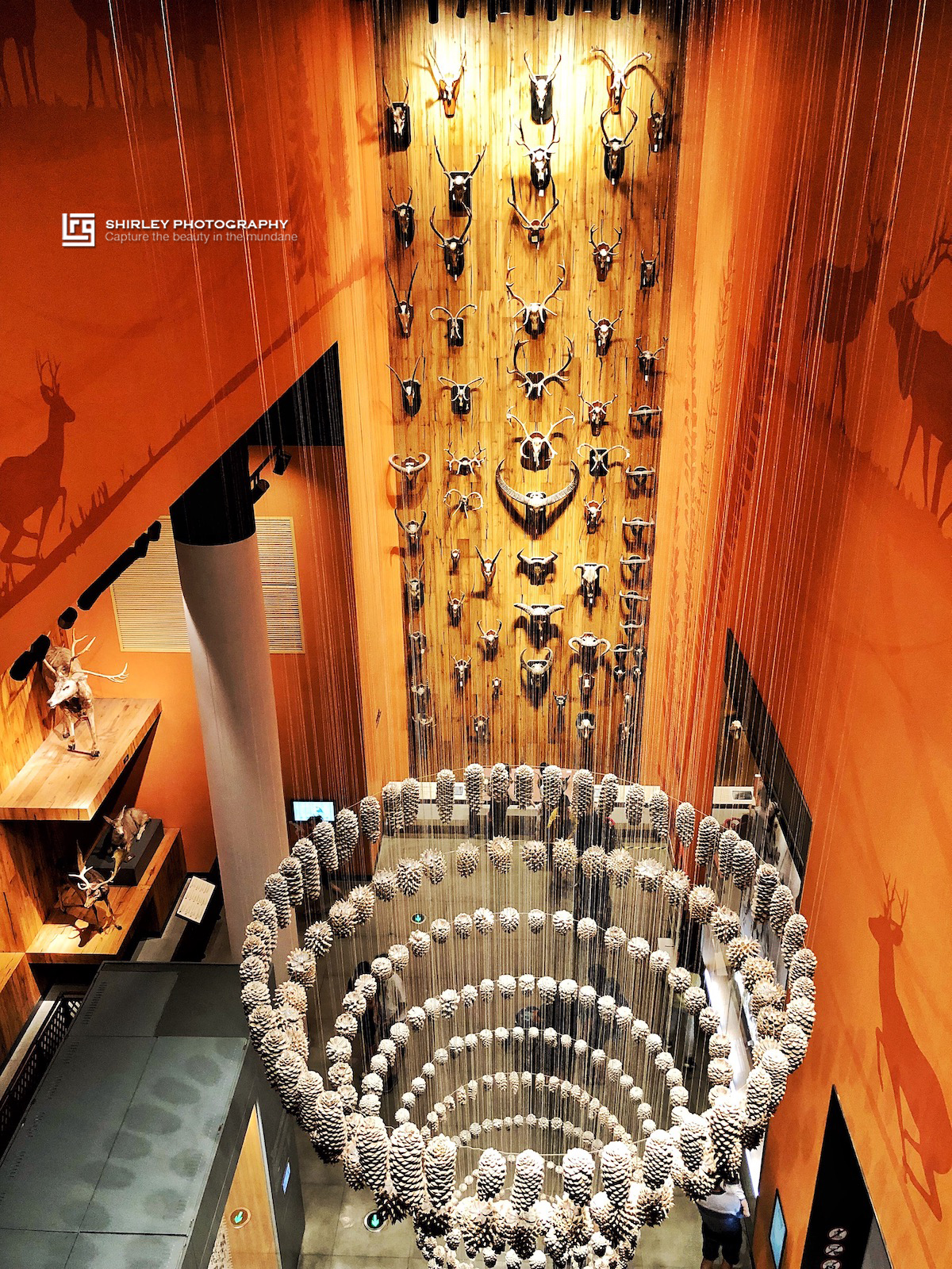 上海亲子旅游攻略迪士尼,上海迪士尼旅游推荐带孩子