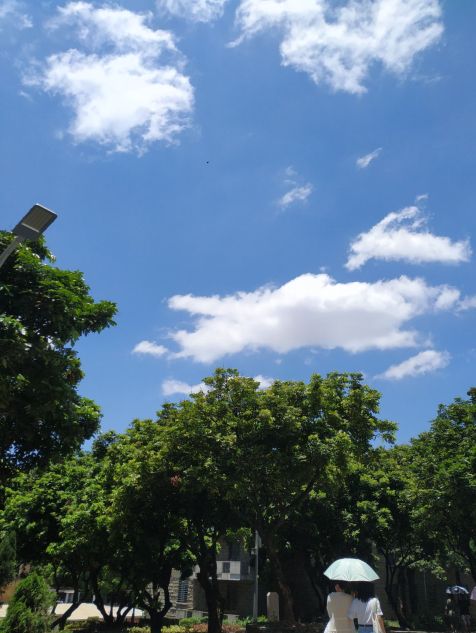 西财考研视频,西财国商考研