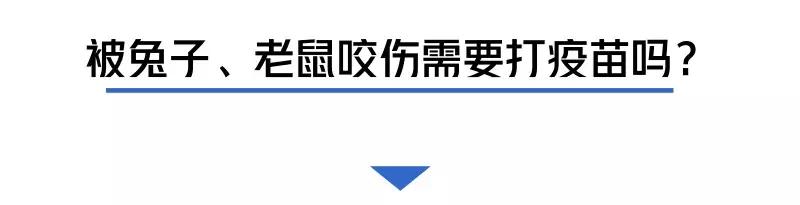 被猫狗咬伤如何正确处理,被猫狗咬伤十天了还能打针吗
