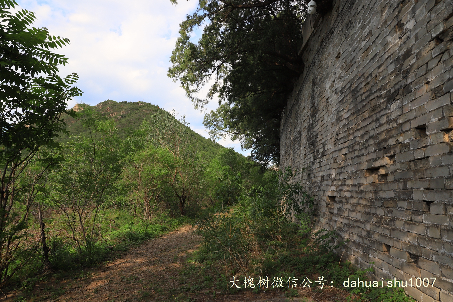 嘉靖陵墓永陵和永乐大典,明朝十三陵之永陵