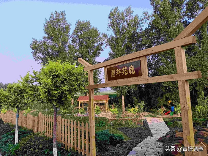 因鹿而生,以鹿而兴,长春市双阳区鹿乡镇盘古屯打造美丽乡村样板