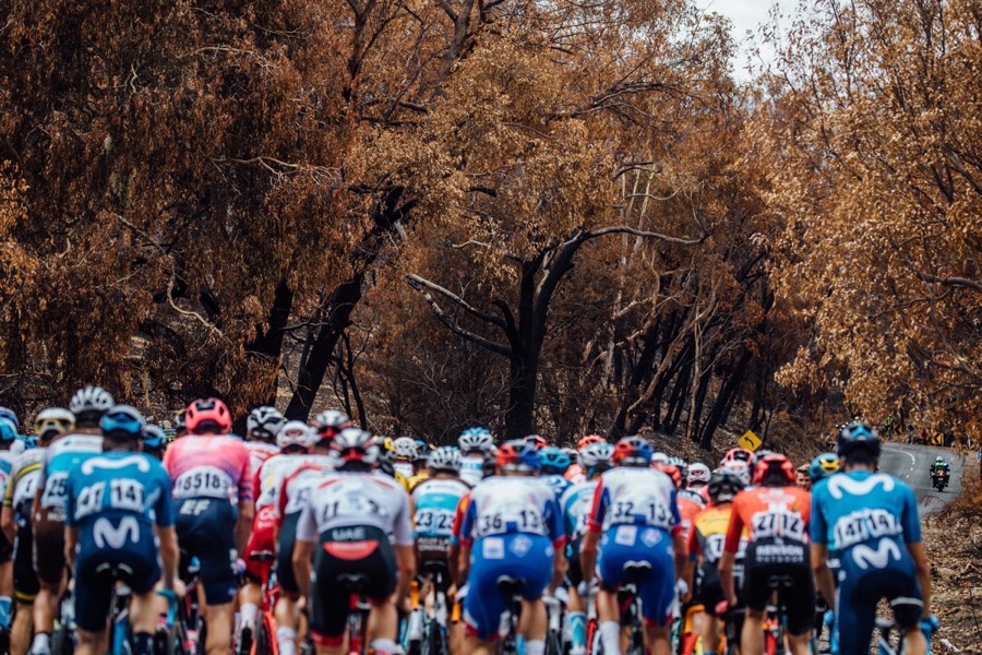 2020涓栧贰璧涘悇杞﹂槦,2022璧涘涓栧贰杞﹂槦