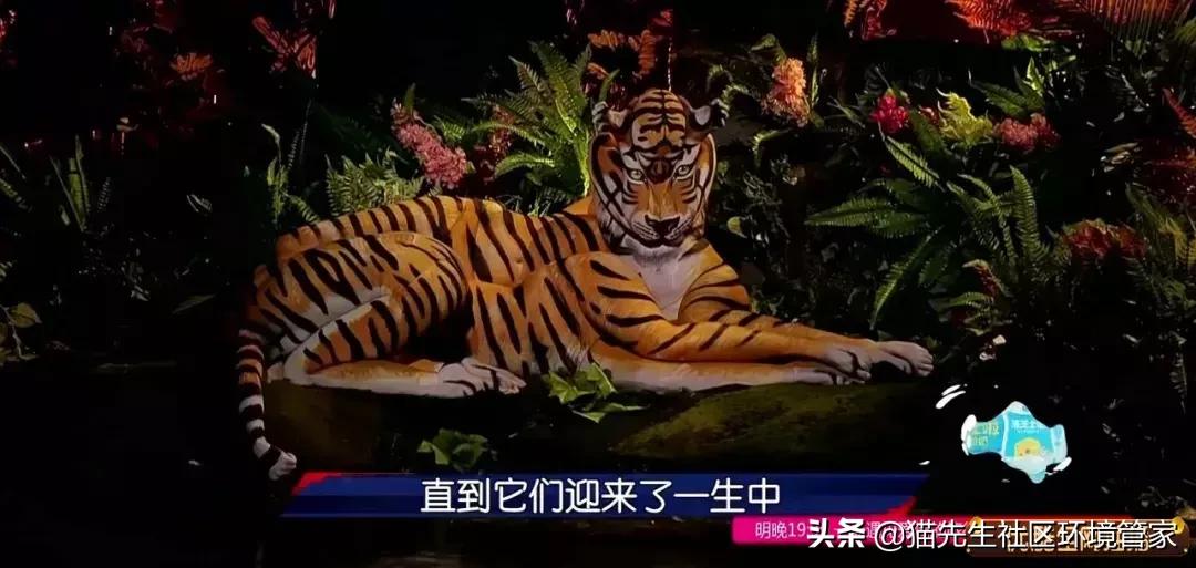 疯狂的裸体彩绘|这世间事十有八九都与垃圾分类有关