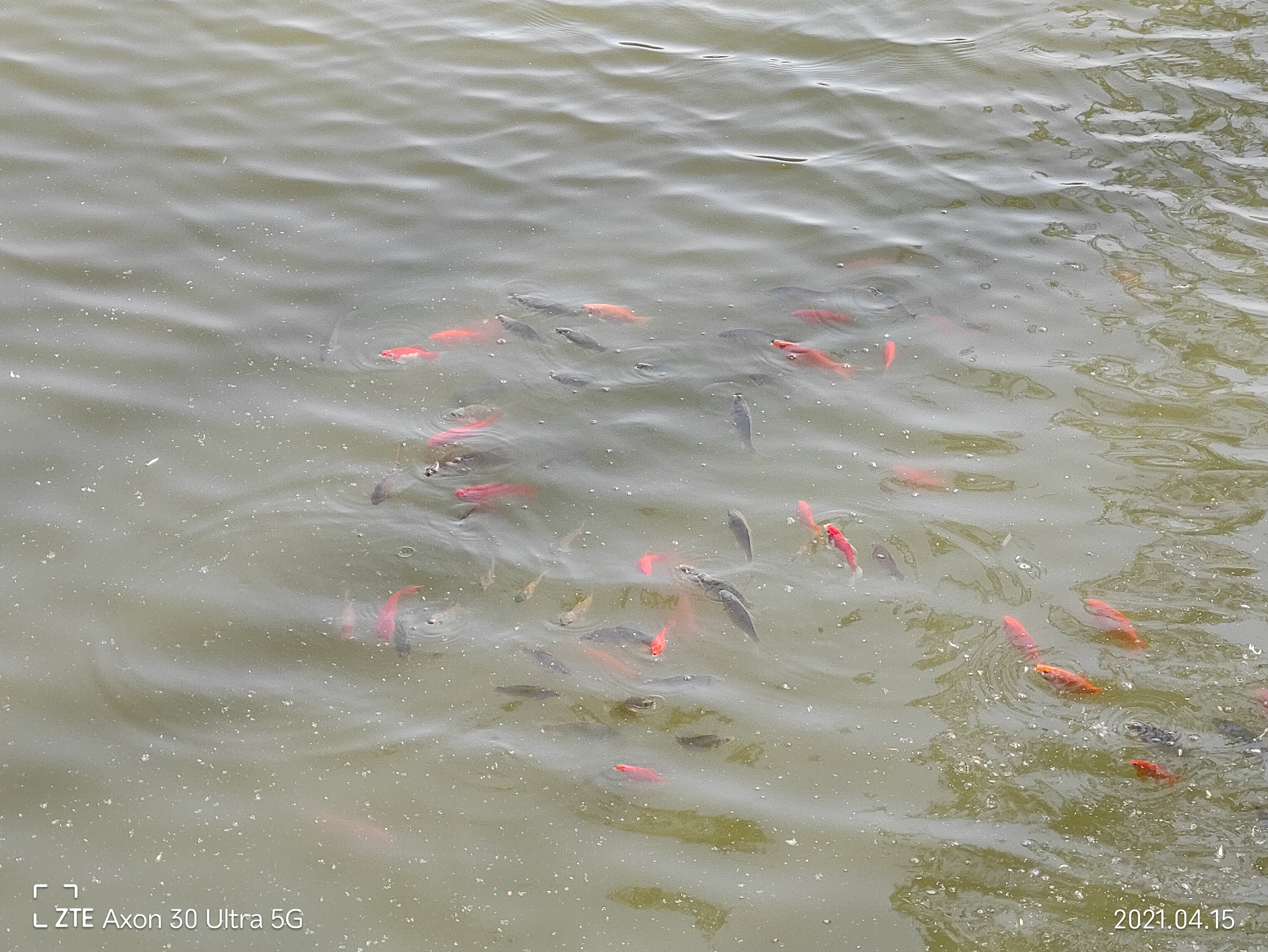 中兴axon30ultra评测屏下摄像头,中兴axon30ultra三千新机能入手吗