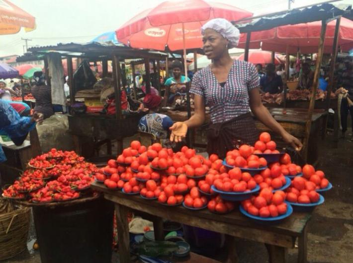 中国网友在非洲生活，他们靠什么发家致富？