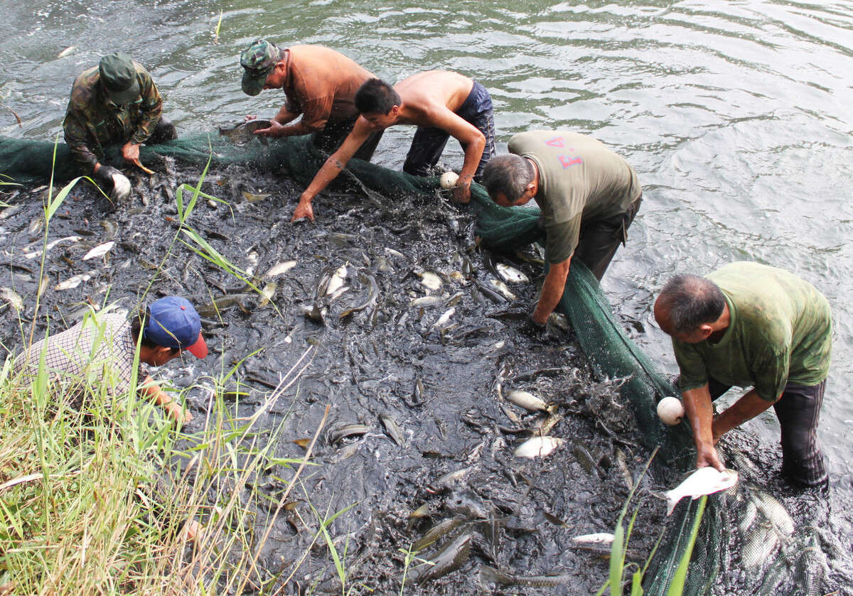 钓鱼人崩溃的时刻,钓鱼人崩溃瞬间