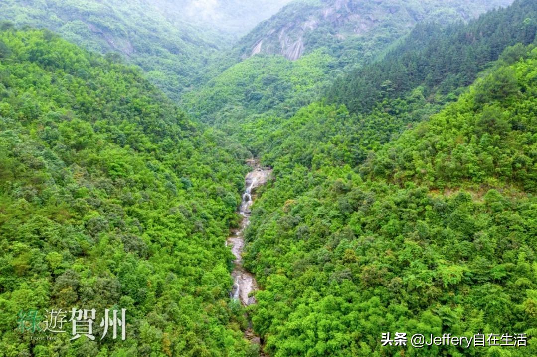 拍贺州｜莲塘镇大山深处的“一号基地”