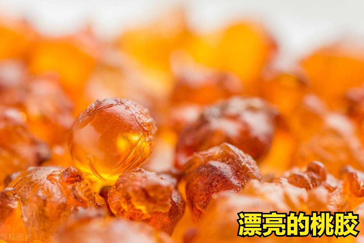 桃胶是从哪儿来的？能吃吗？