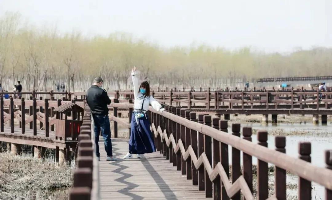 天津市五一新开放的公园,天津春暖花开西沽公园