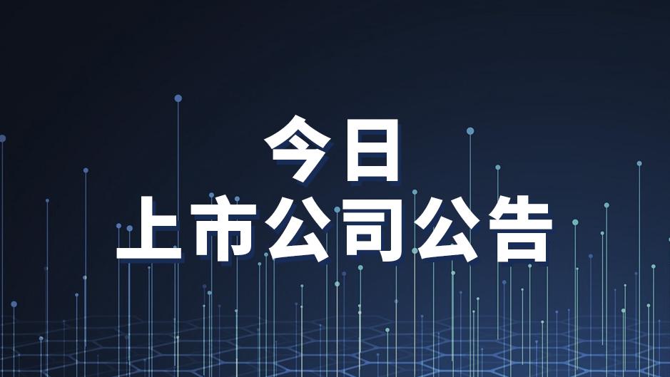 上市公司最新重要公告,上市公司最新公告网站