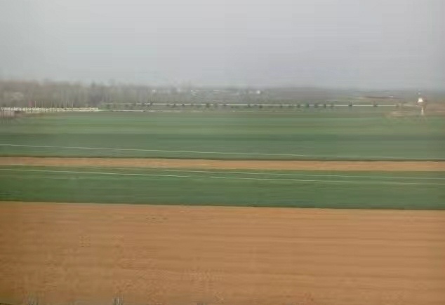 西安渭河风景,西安渭河草滩