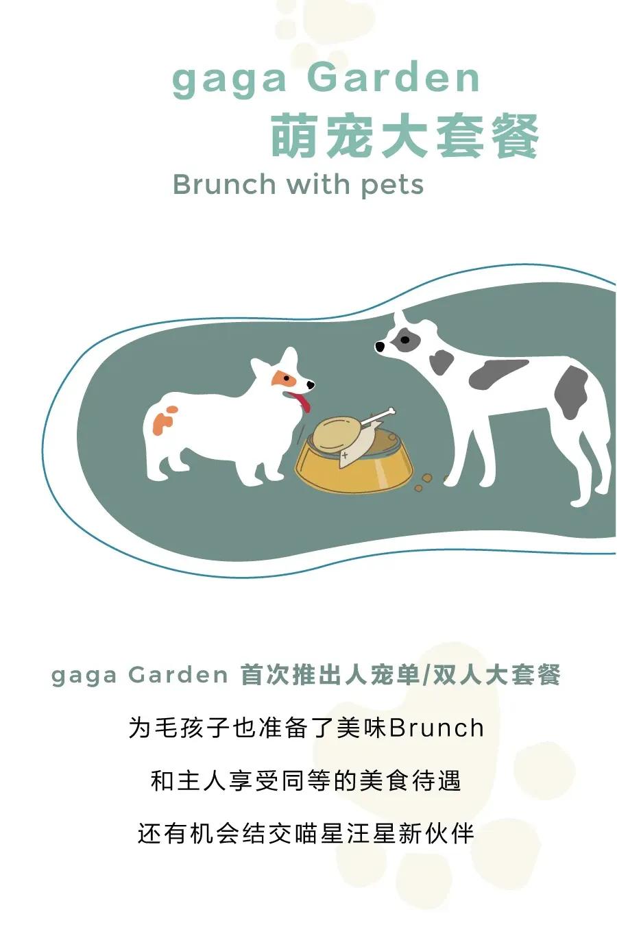 爱宠大机密作战计划,爱宠大作战作战计划