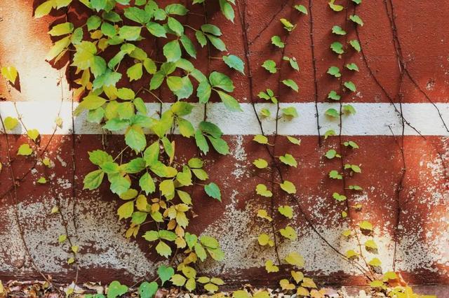 突然就想去旅游了,忽然间就想去厦门了