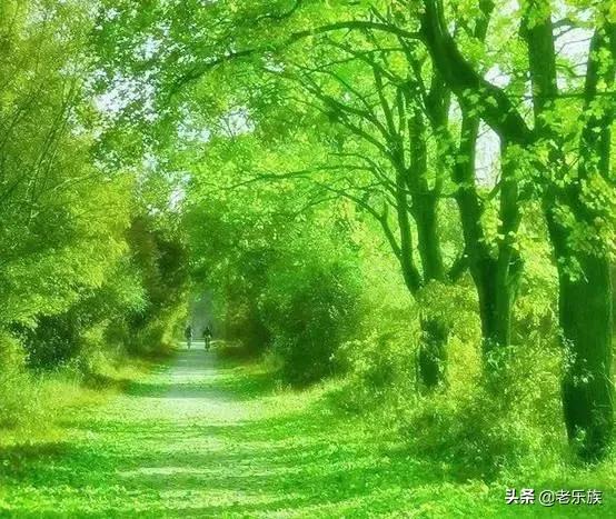 100首才华横溢的经典诗词,公认最有才华的诗