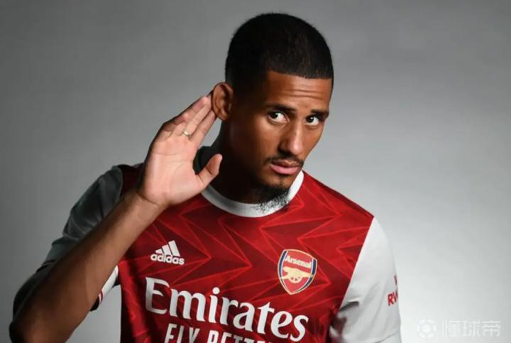 萨利巴集锦,阿森纳萨利巴球员