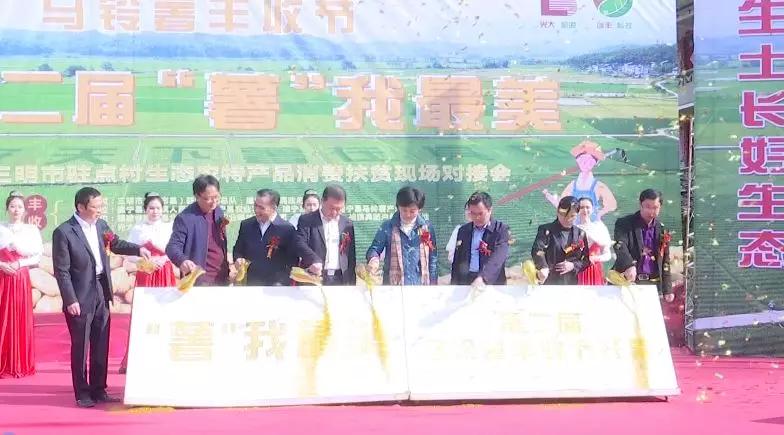 丰收土豆节,丰收节土豆