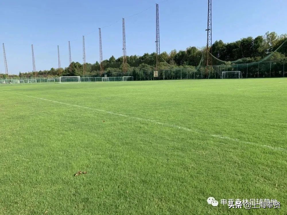 奉贤五一游玩打卡的地方,奉贤休闲度假游玩攻略