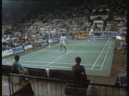 羽坛封神的球员,羽坛封神榜林丹