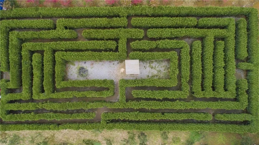 新堡·枫叶谷旅游度假区最新视频,枫叶谷旅游度假区优惠政策