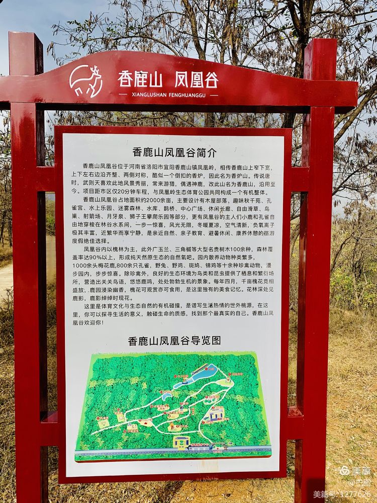 洛阳市宜阳凤凰岭射箭,宜阳县凤凰岭体育基地
