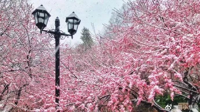 霉霉段子,霉霉的段子