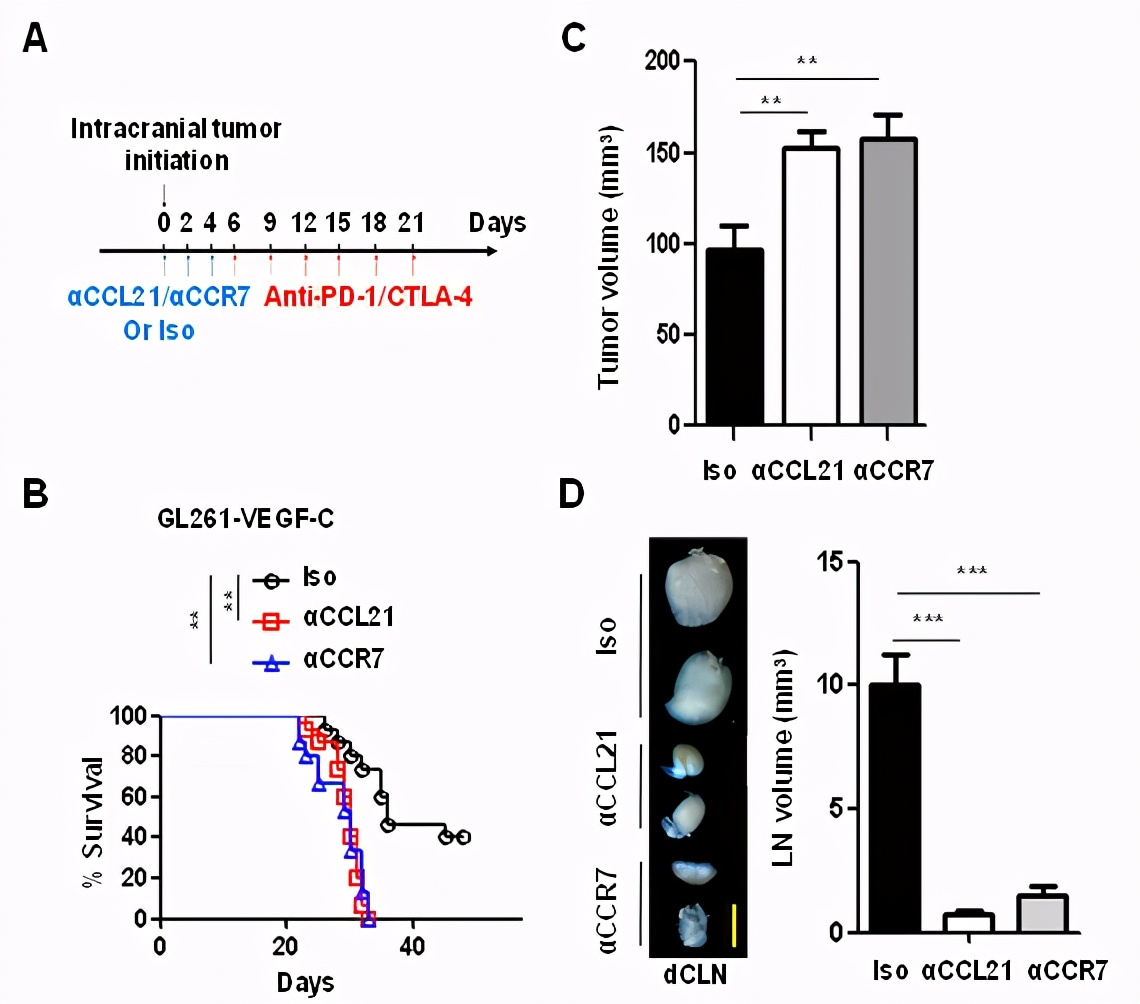 18项国家自然科学基金优秀成果在京对接