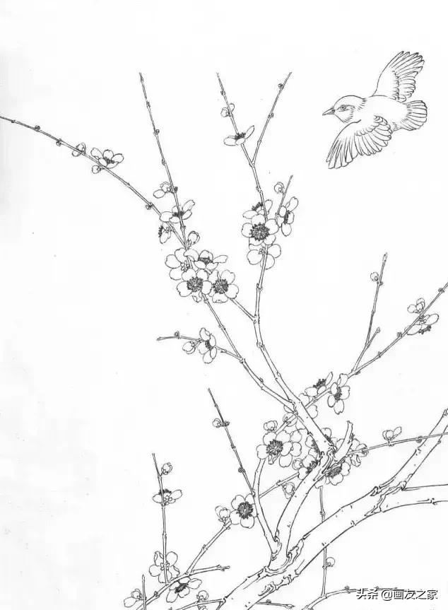 工笔梅花教学,工笔梅花设色技巧