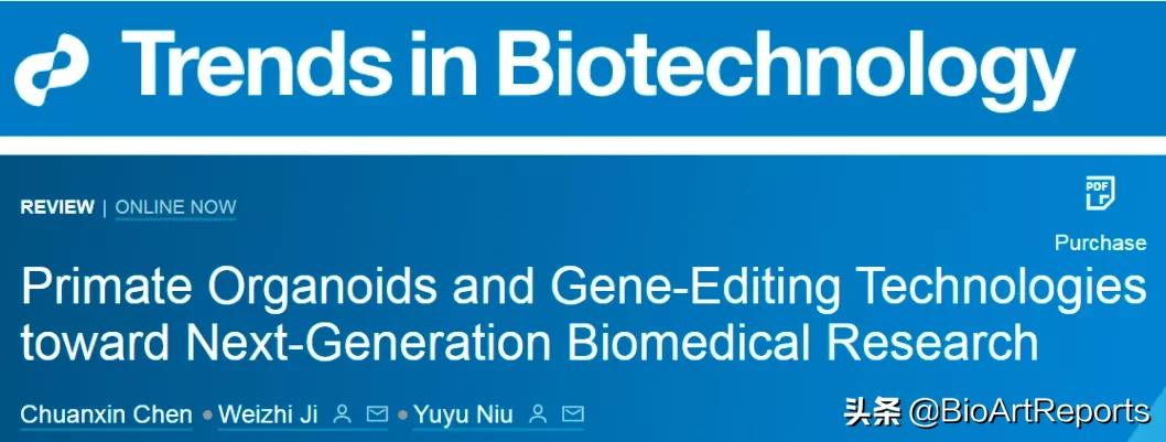 crisprcas9基因编辑技术应用,基因编辑技术综述