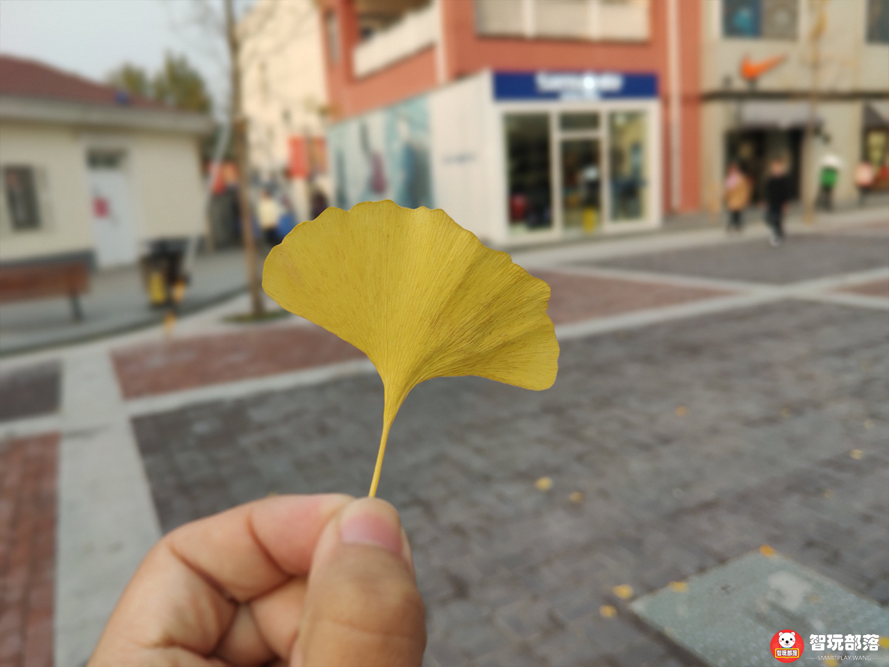 联想z5pro上手视频滑盖式全面屏,联想z5pro滑盖技术