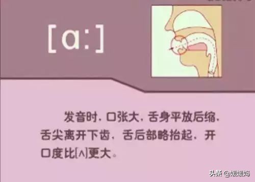 音标教学视频48个快速记忆法,英语48个音标发音教程视频