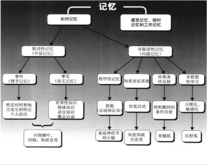 改掉不好的坏习惯记住这八点,为什么改掉坏习惯这么难