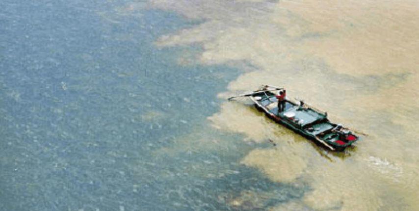 是你们说的全程高潮,但结局我想骂街