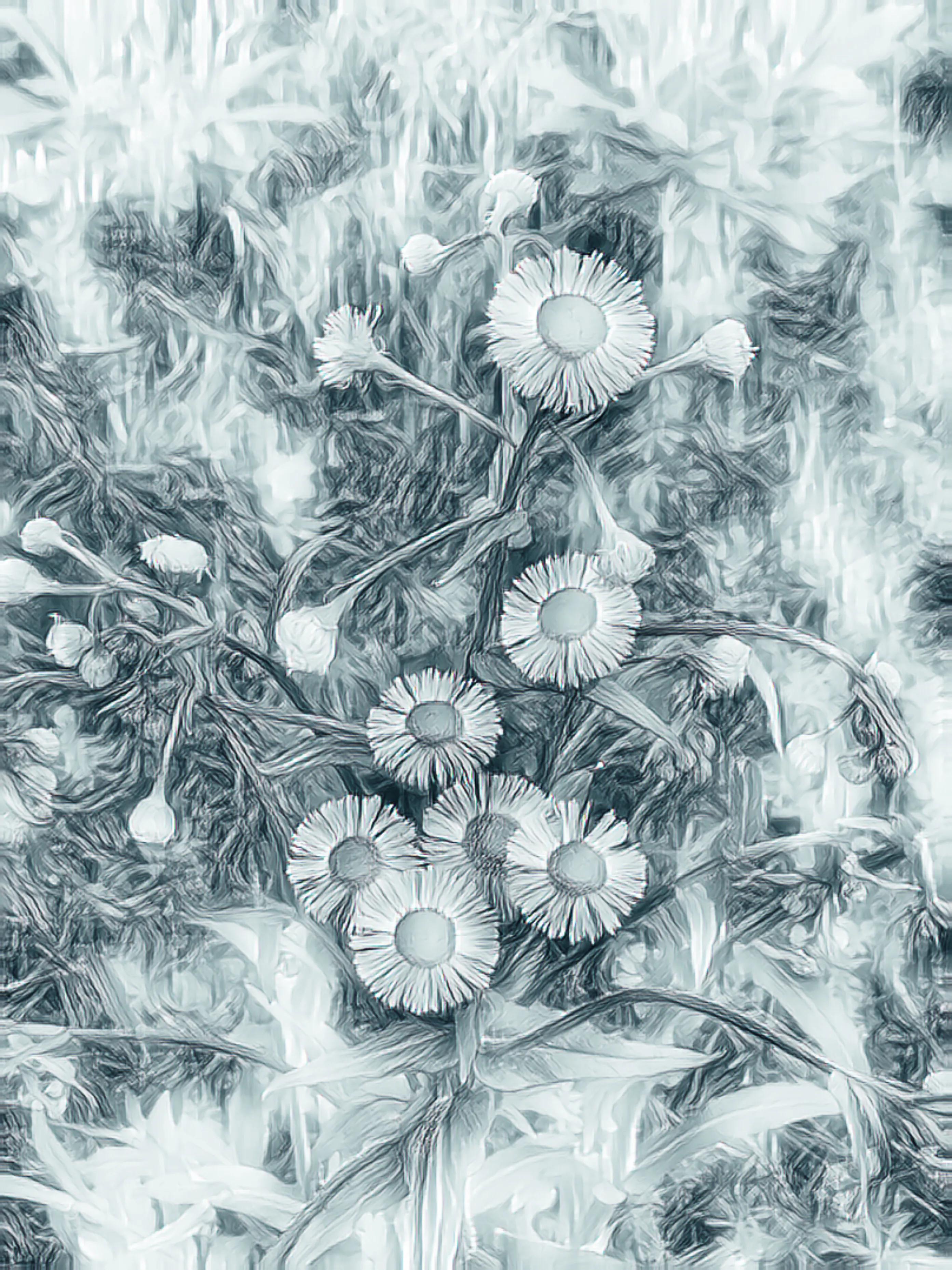 什么软件可以把照片生成手绘,怎么用软件把照片变成画