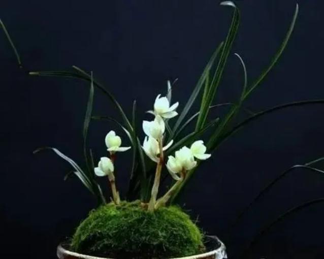 那些花上亿买豪宅的都是什么人,北京值得买的一套房