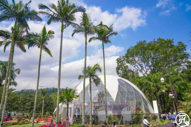 深圳史上最大最美的花展来啦,走进深圳仙湖植物园的国际花展