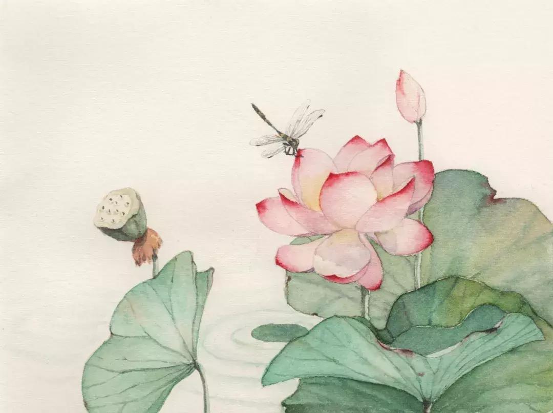 100个惊艳的万能开头写景,100句写景诗词总有一句让你惊艳